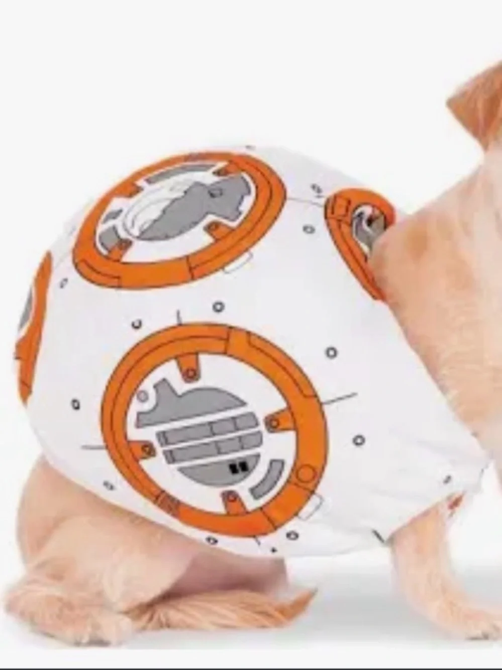 Star Wars BB-8 Pattern White and Orange Dog costume